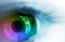 Vision & Strategic Challenges